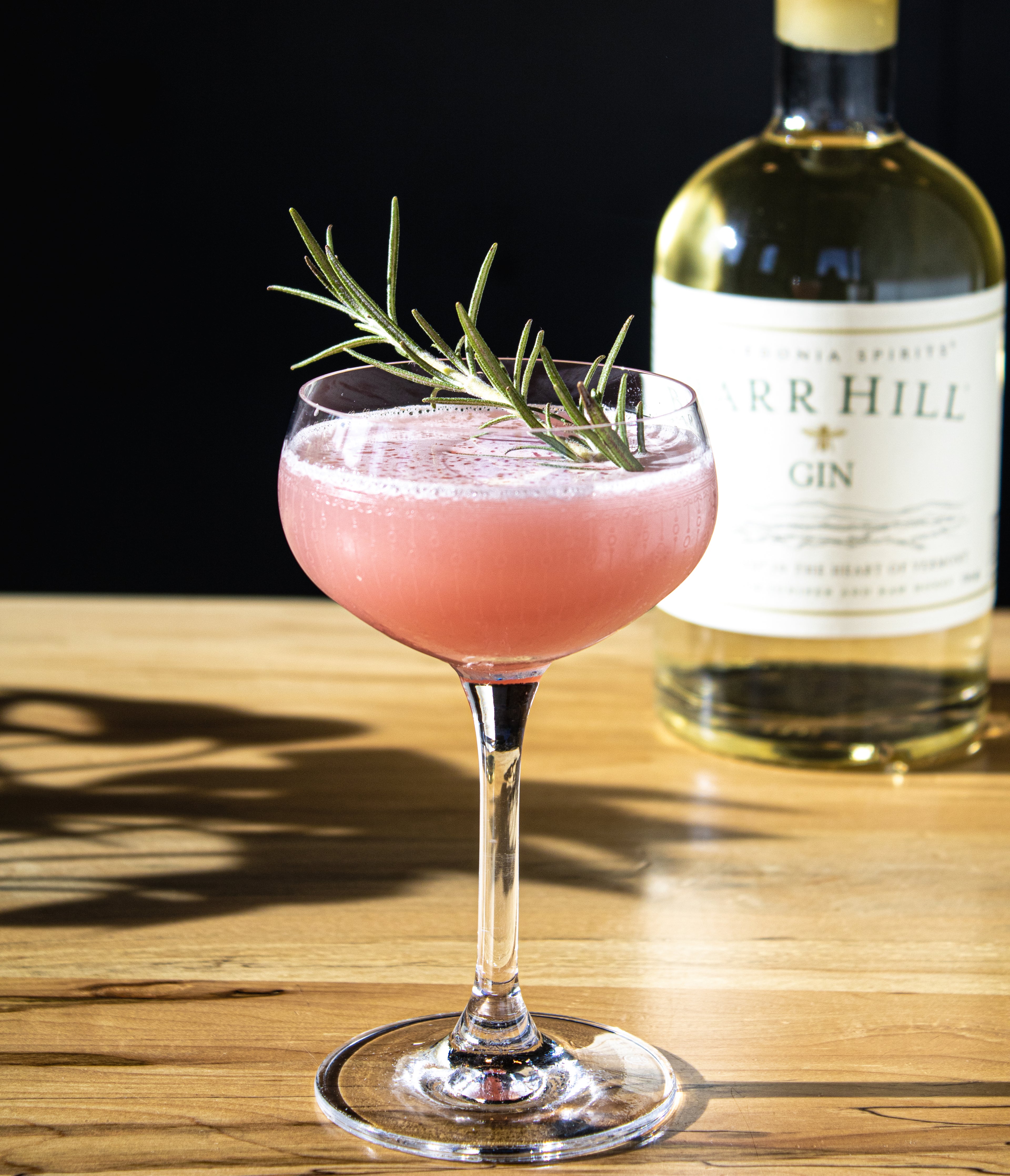 Bright pink cranberry gin cocktail in a martini glass with rosemary. The cocktail is on a table next to a bottle of Barr Hill Gin.