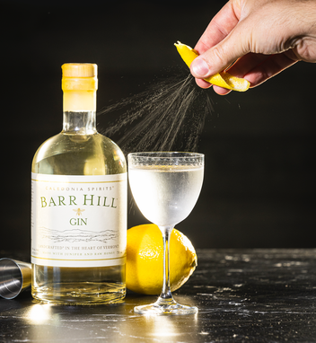 Classic Martini – Barr Hill